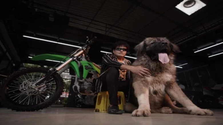 Dog sold for Rs 20cr by a Hyderabadi breeder to a Bengaluru man
