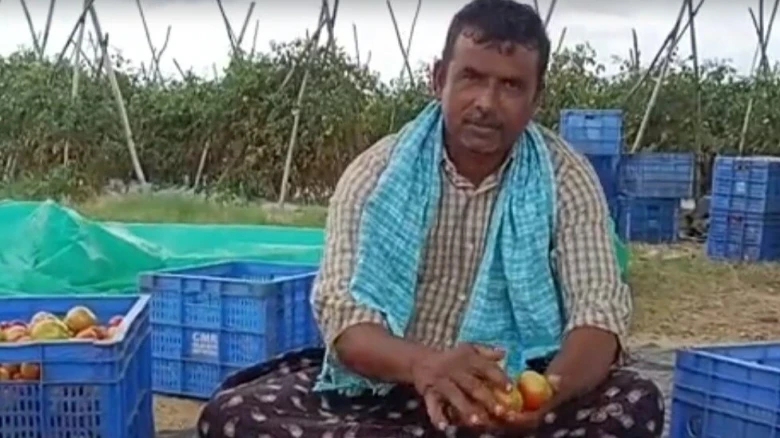 From rags to riches: Andhra farmer earns Rs 4 crore in just 45 days by selling tomatoes
