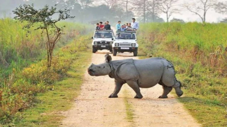 Assam: Kaziranga National Park and Tiger Reserve to reopen for tourists from October 15