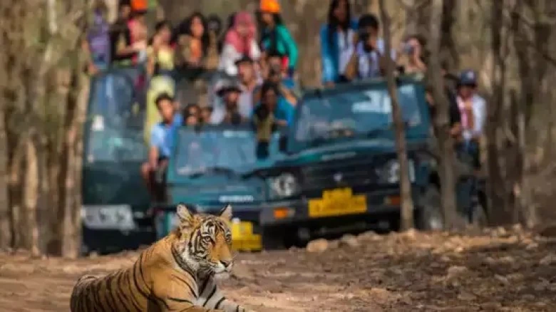 Kaziranga National Park and Tiger Reserve reopens for tourists