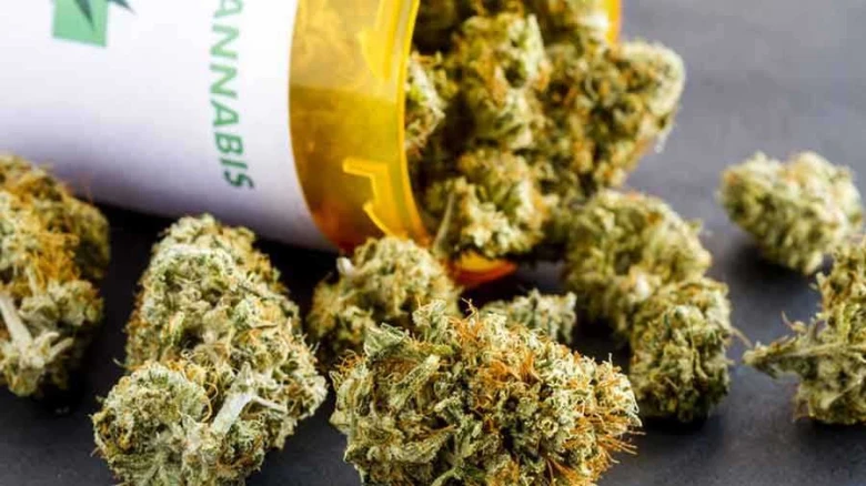 Major drug bust by Doimukh Police, 230 kg cannabis seized in Arunachal