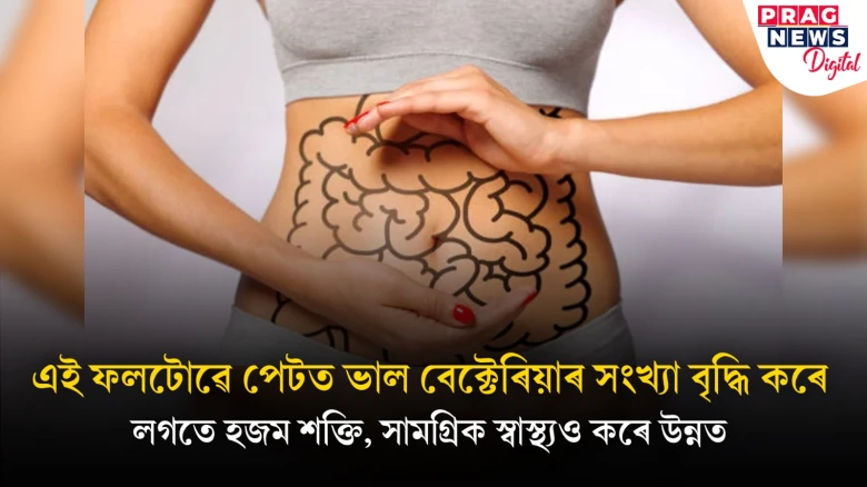 এই ফলটোৱে পেটত ভাল বেক্টেৰিয়াৰ সংখ্যা বৃদ্ধি কৰে! কি ফল জানি লওক