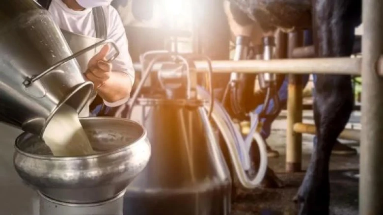 Cow Milk is not safe? Delhi High Court sought action against oxytocin use in farms