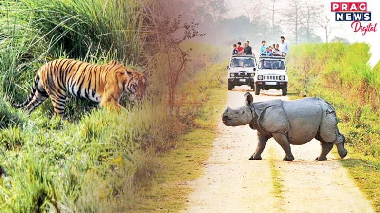 Kaziranga National Park & Tiger Reserve to remain close to tourists from May 31