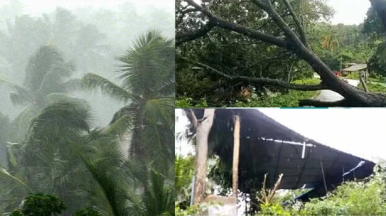 Cyclone 'Remal' impact: Strong winds and heavy rainfall wreak havoc across Assam