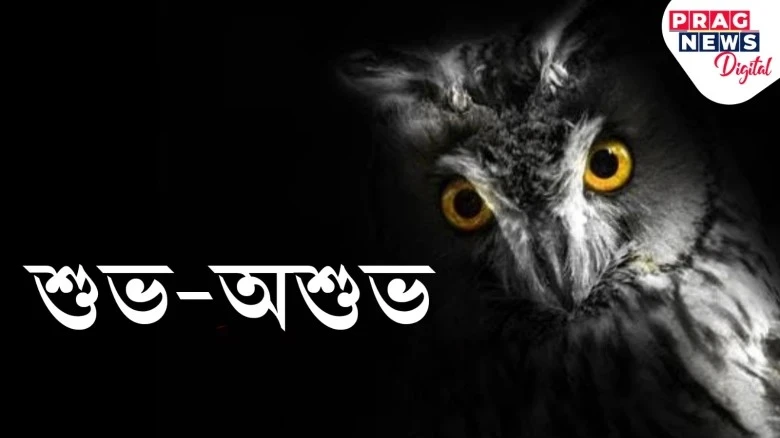 লোকবিশ্বাসঃ কেৱল বাদুলিয়েই নহয়, এইবোৰেও এখন ঘৰক বিপদৰ আগজাননী দিয়ে