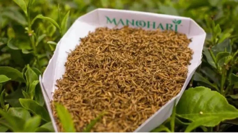 Assam tea fetches highest price at auction; 1 kg sold for Rs 1,506