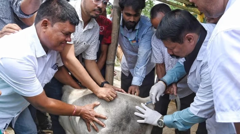 Assam: Minister Accused of Illegally Administering Injections to Animals, Faces Police Complaint