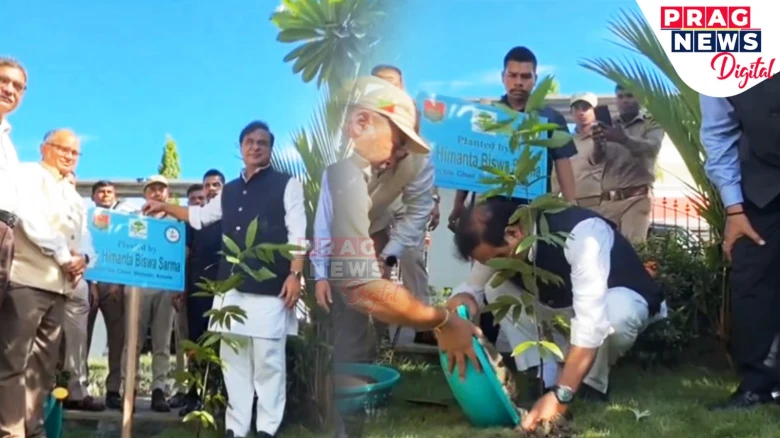 Amrit Brikshya Andolan: CM Sarma launches 'Ek Ped Maa Ke Naam' tree plantation campaign in Assam