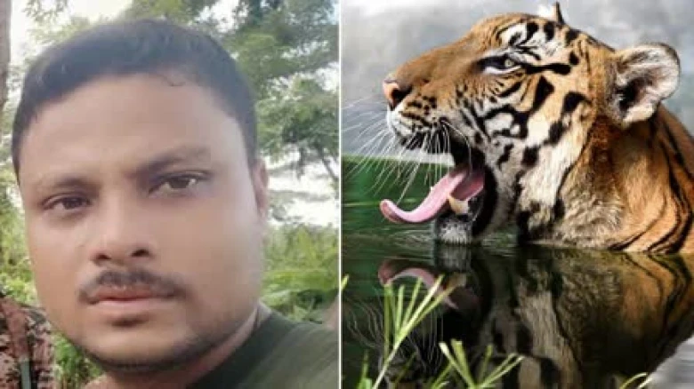Tiger Kills Forest Guard in Orang National Park, Darrang Police Provides Financial Aid