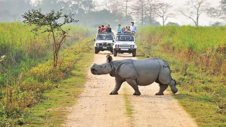 Kaziranga National Park to reopen for tourists on October 1