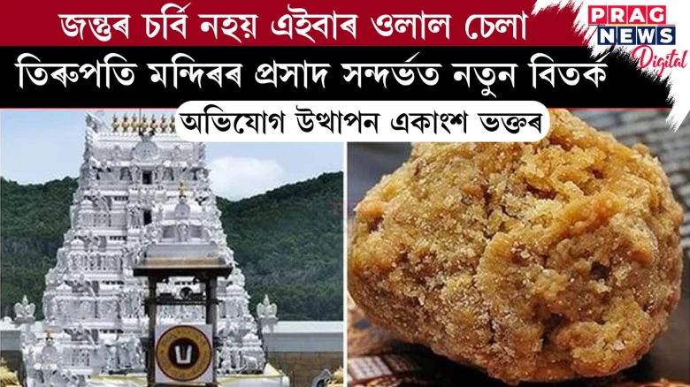 জন্তুৰ চৰ্বি নহয় এইবাৰ ওলাল চেলা ; তিৰুপতি মন্দিৰৰ প্ৰসাদ সন্দৰ্ভত নতুন বিতৰ্ক