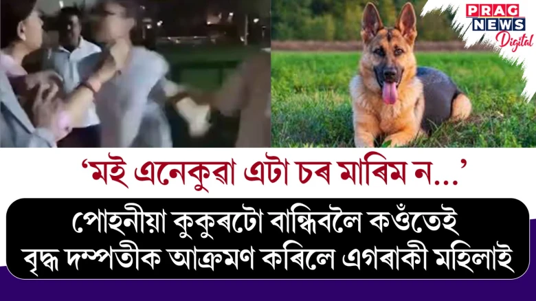 ‘মই এনেকুৱা এটা চৰ মাৰিম ন...’ পোহনীয়া কুকুৰটো বান্ধিবলৈ কওঁতেই বৃদ্ধ দম্পতীক আক্ৰমণ কৰিলে এগৰাকী মহিলাই