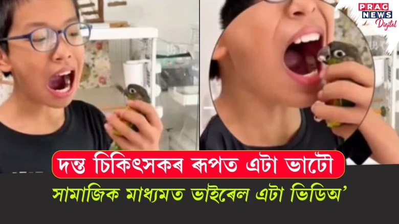 দন্ত চিকিৎসকৰ ৰূপত এটা ভাটৌ ; সামাজিক মাধ্যমত ভাইৰেল এটা ভিডিঅ'