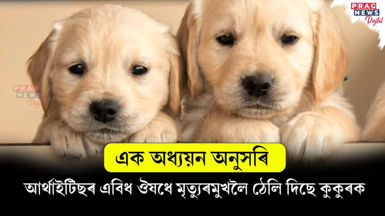 featured post