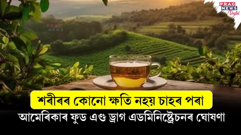 শৰীৰৰ কোনো ক্ষতি নহয় চাহৰ পৰা; আমেৰিকাৰ ফুড এণ্ড ড্ৰাগ এডমিনিষ্ট্ৰেচনৰ ঘোষণা