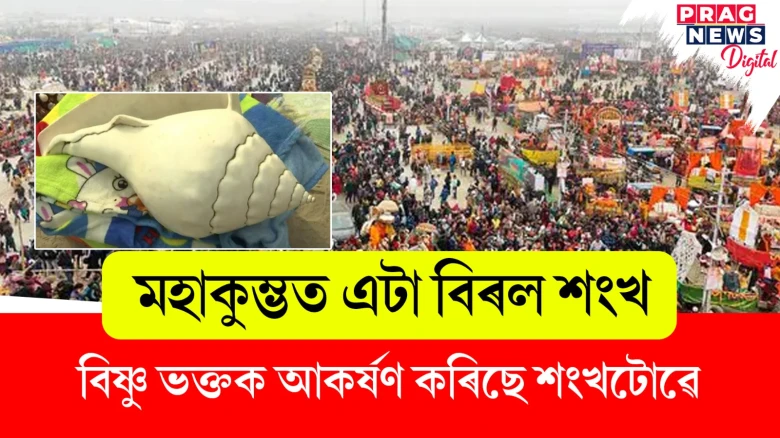 মহাকুম্ভত এটা বিৰল শংখ ; বিষ্ণু ভক্তক আকৰ্ষণ কৰিছে শংখটোৱে