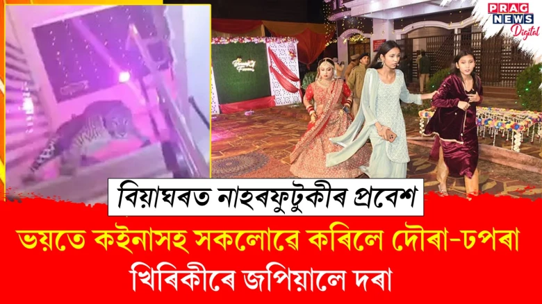 বিয়াঘৰত সোমাল নাহৰফুটুকী! লাগিল হুৱাদুৱা, দৰাই মাৰিলে খিৰিকীৰে জাপ