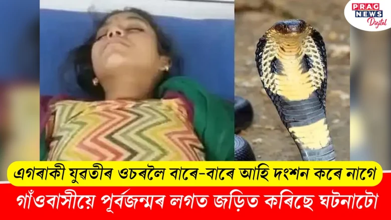 এগৰাকী যুৱতীৰ ওচৰলৈ বাৰে-বাৰে আহি থাকে নাগ! এতিয়ালৈকে দংশন কৰিলে ১৩ বাৰ